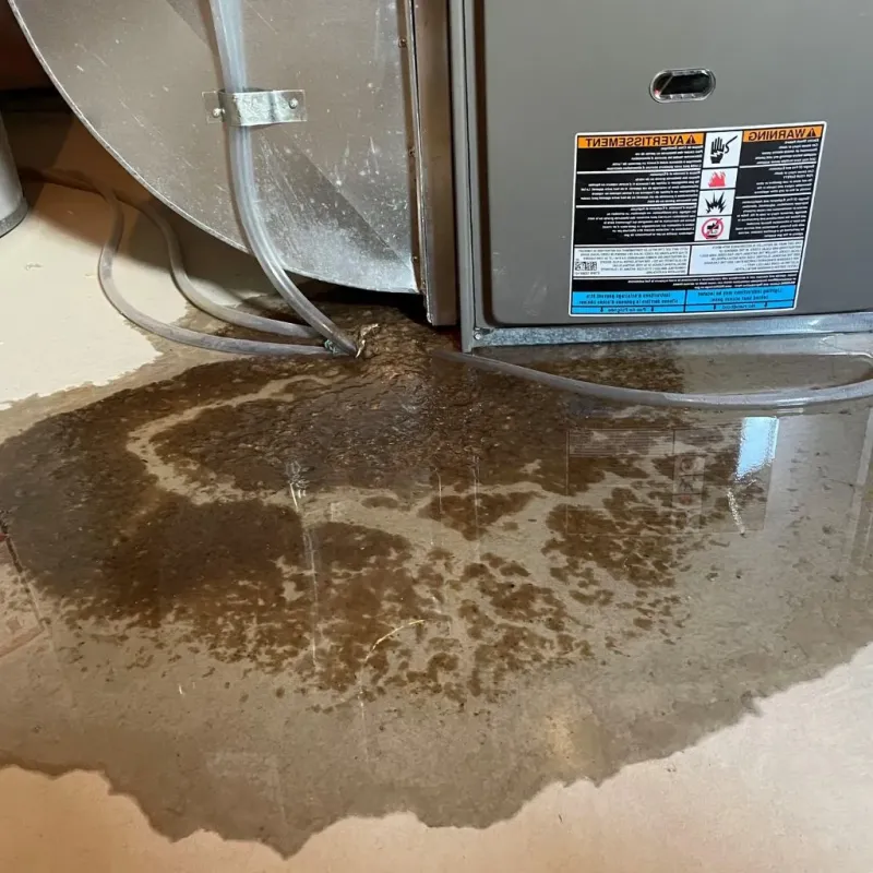 Pipe Burst and Leak Restoration in Steele, ND